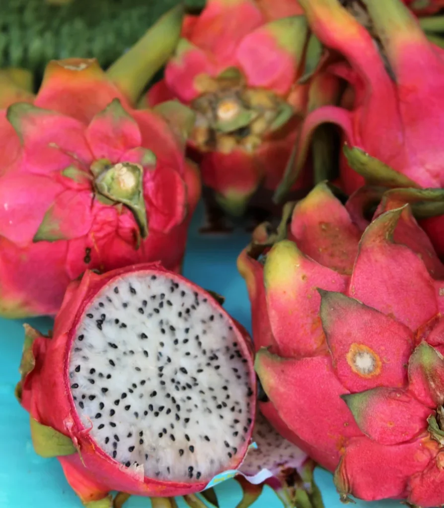 Pitaya Hylocereus_undatus