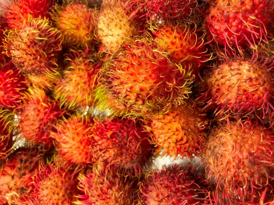 Rambutan fruit