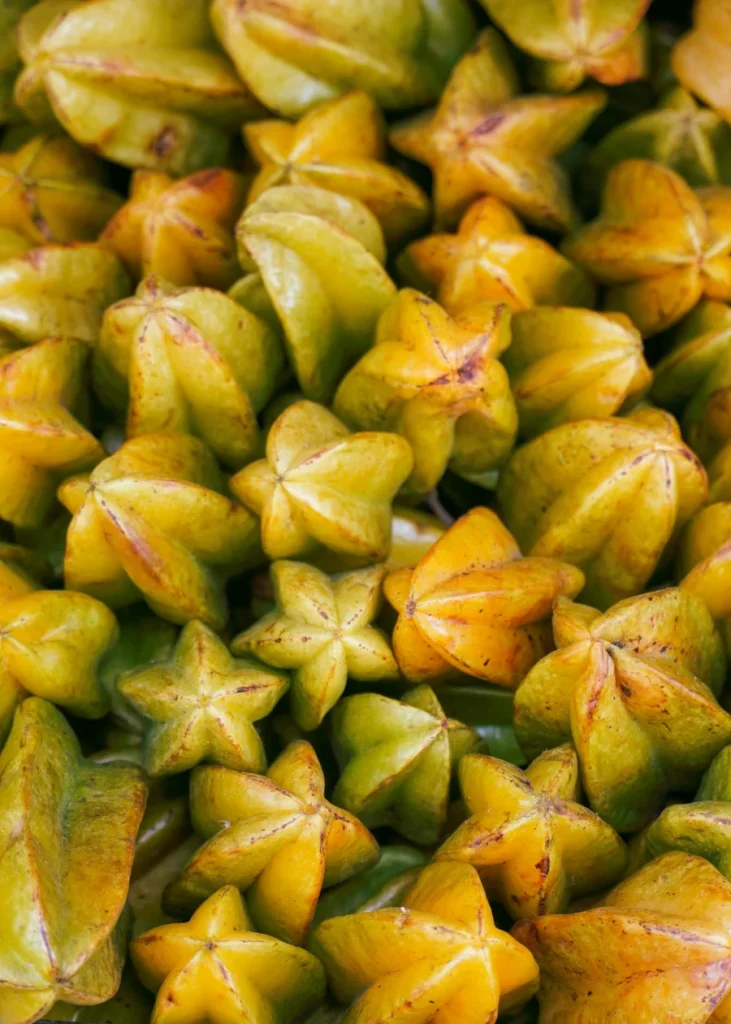 Star Fruit Harvest